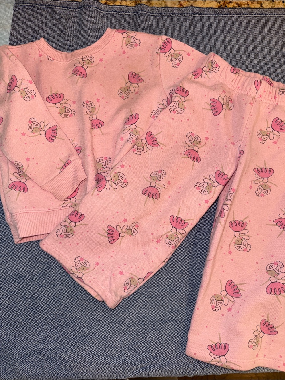 Garanimals Pink Floral Fairy Sweat Set